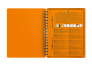 OXFORD International Meetingbook - A5+ - Polypropylene Cover - Twin-wire - Narrow Ruled - 160 Pages - SCRIBZEE Compatible - Orange - 100103453_1300_1686174731 - OXFORD International Meetingbook - A5+ - Polypropylene Cover - Twin-wire - Narrow Ruled - 160 Pages - SCRIBZEE Compatible - Orange - 100103453_2302_1686174736 - OXFORD International Meetingbook - A5+ - Polypropylene Cover - Twin-wire - Narrow Ruled - 160 Pages - SCRIBZEE Compatible - Orange - 100103453_1501_1686174722 - OXFORD International Meetingbook - A5+ - Polypropylene Cover - Twin-wire - Narrow Ruled - 160 Pages - SCRIBZEE Compatible - Orange - 100103453_1100_1686174737 - OXFORD International Meetingbook - A5+ - Polypropylene Cover - Twin-wire - Narrow Ruled - 160 Pages - SCRIBZEE Compatible - Orange - 100103453_1500_1686174748